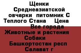 Щенки Среднеазиатской овчарки (питомник С Теплого Стана) › Цена ­ 20 000 - Все города Животные и растения » Собаки   . Башкортостан респ.,Салават г.